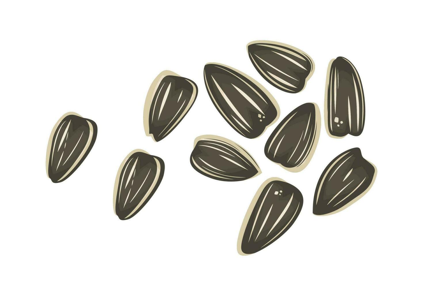Sunflower seeds vector illustration isolated on white