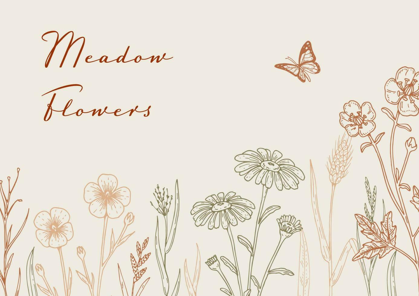 Hand drawn summer horizontal wildflowers design. Vector illustration in sketch style. Meadow flowers aesthetic background