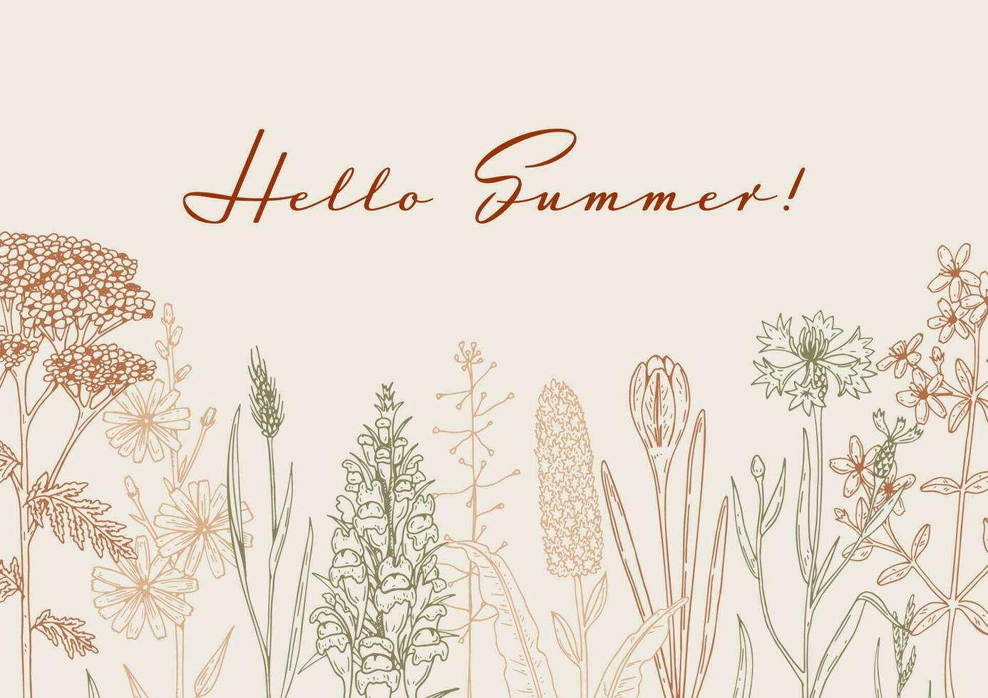 Hand drawn summer horizontal wildflowers design. Vector illustration in sketch style. Meadow flowers aesthetic background
