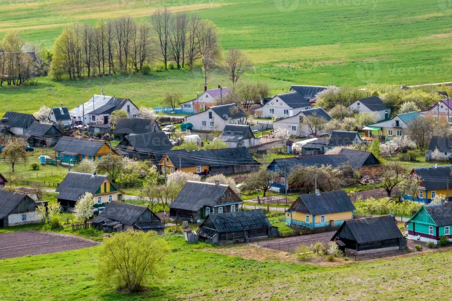 panoramic aerial view of private development with country houses or eco village photo