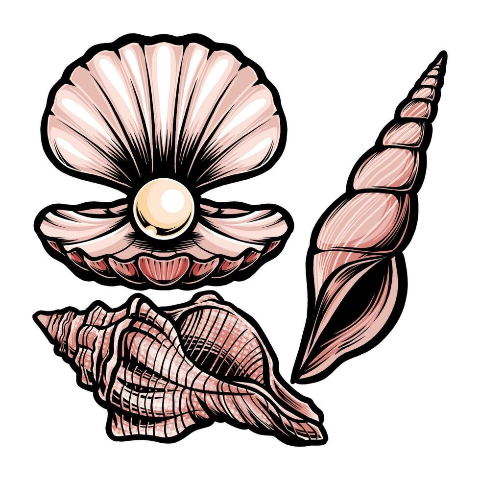 SHELL WITH MANY FORM vector