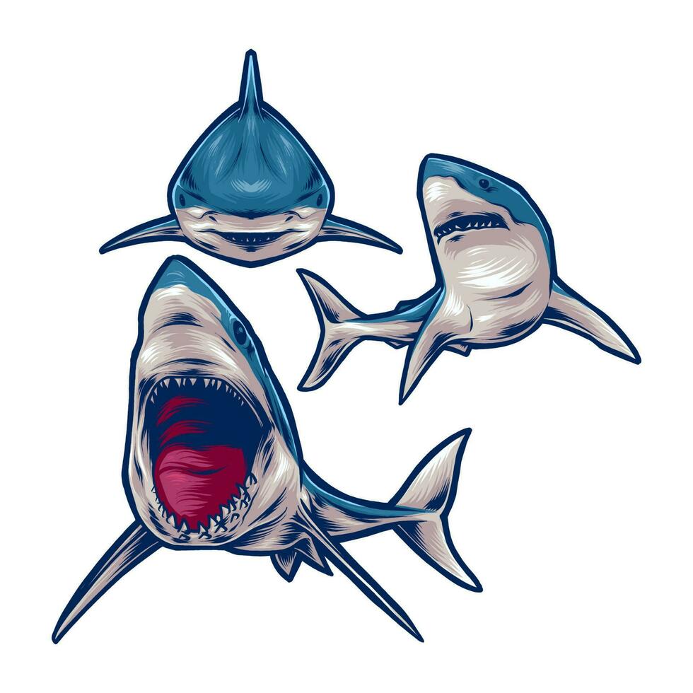 SHARK POSE WITH POSE vector