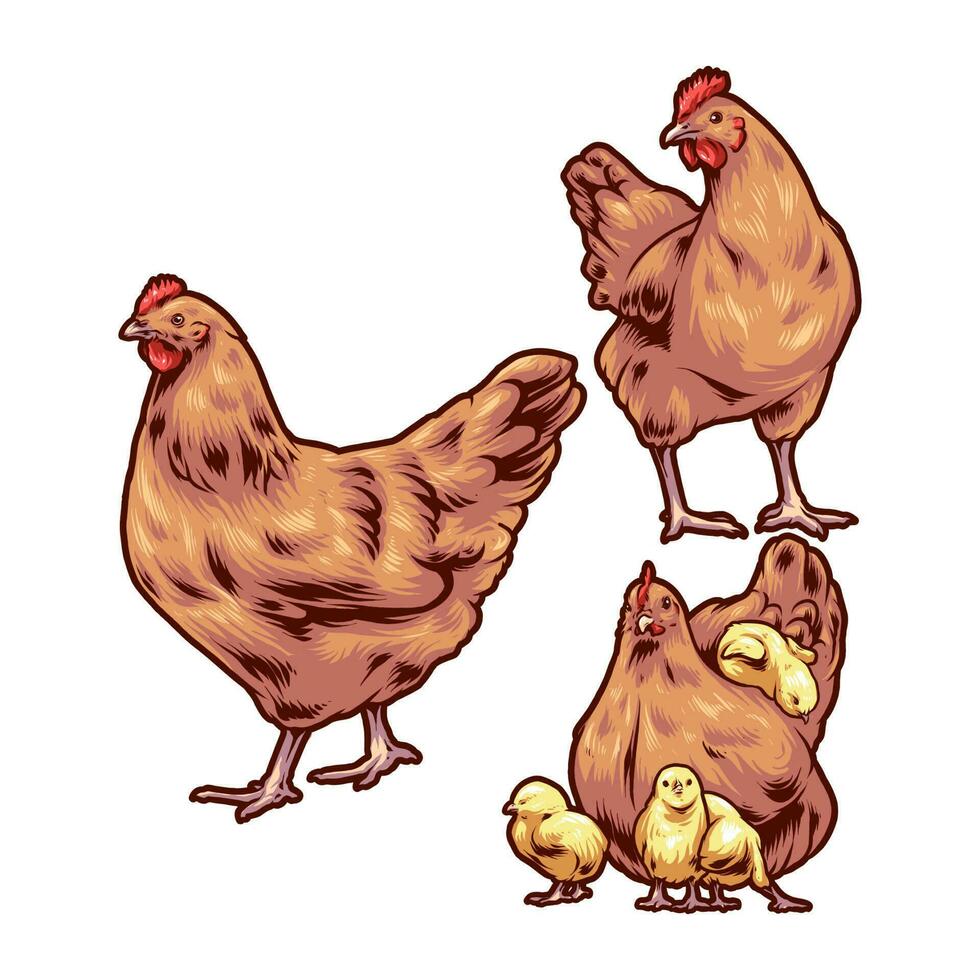 gallina y pollitos vector