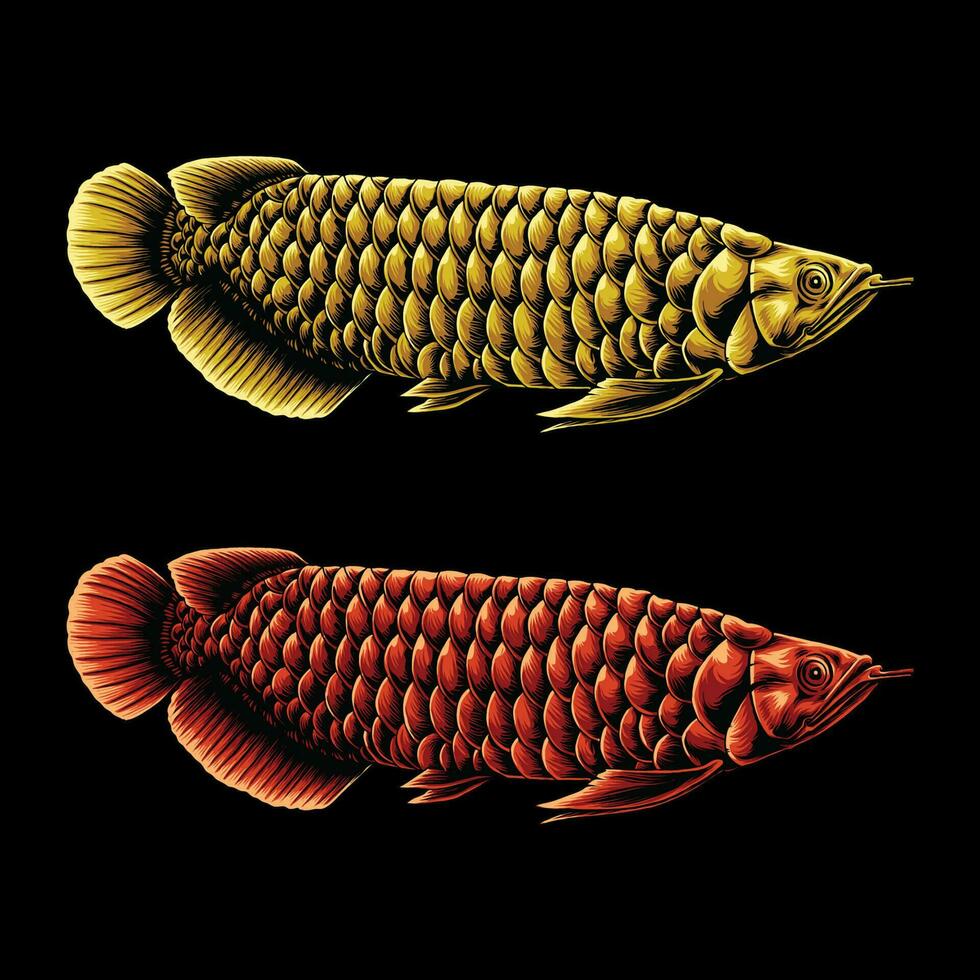 arowana pescado con rojo y oro color vector