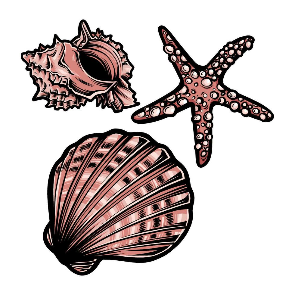 SHELL AND STARFISH vector