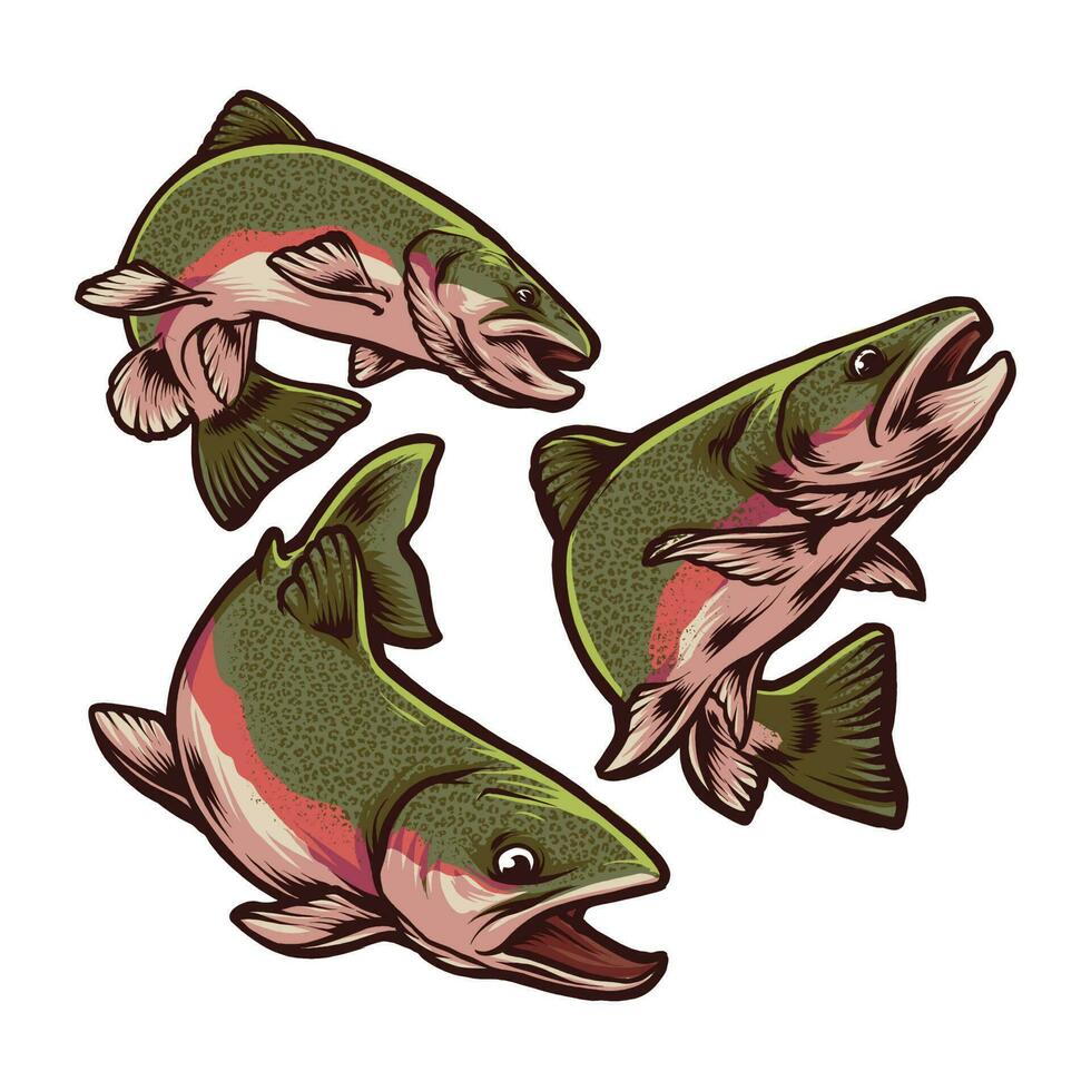 SALMON JUMP AND SWIMMING vector