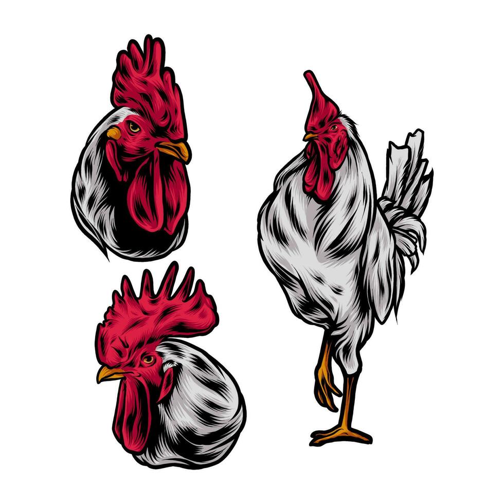 cabeza gallo y gallo actitud vector