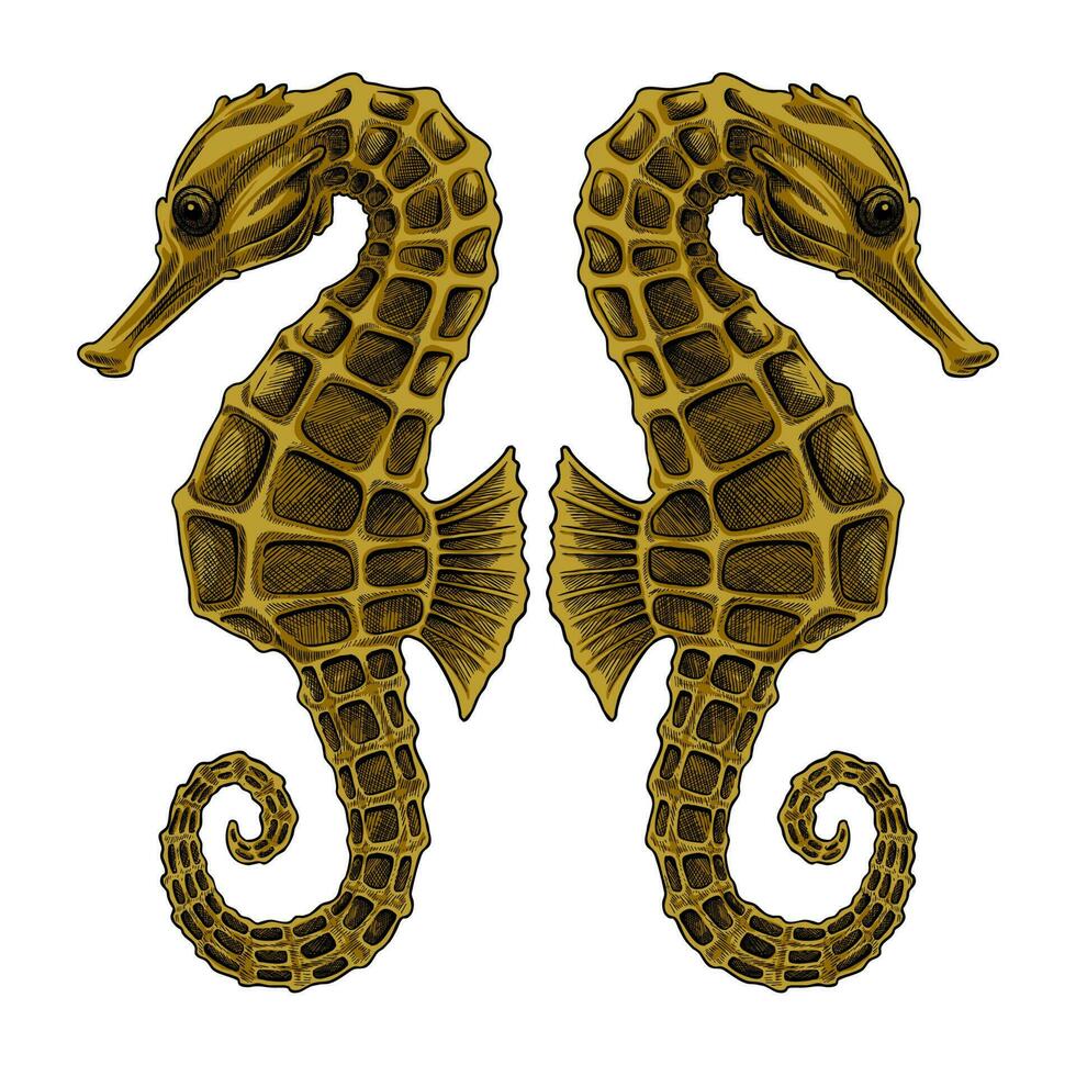 SEAHORSE GOLDEN MIRROR POSE vector