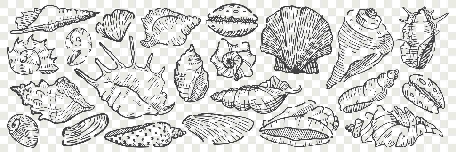 Hand drawn seashells doodle set. vector