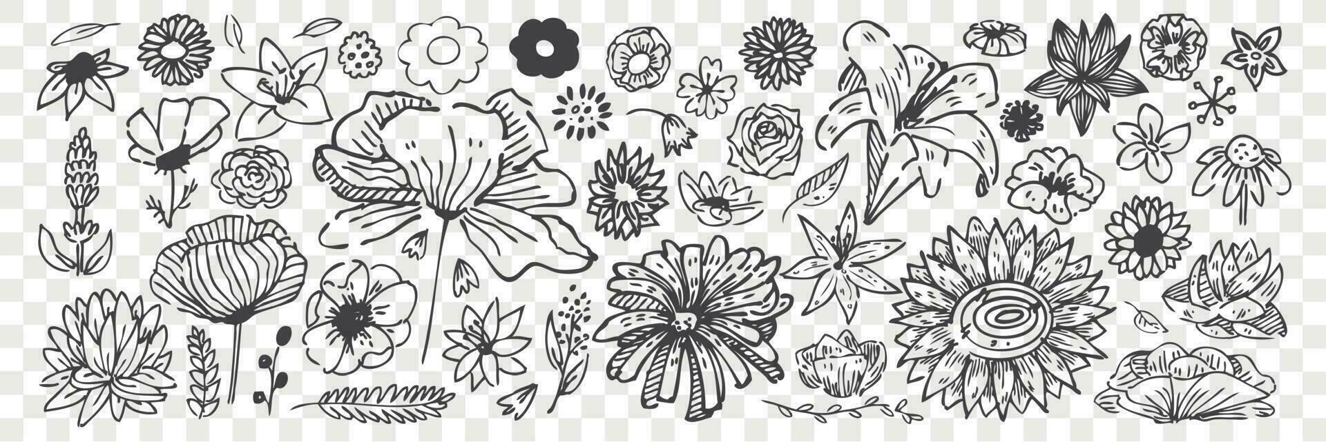 Hand drawn flowers doodle set. vector