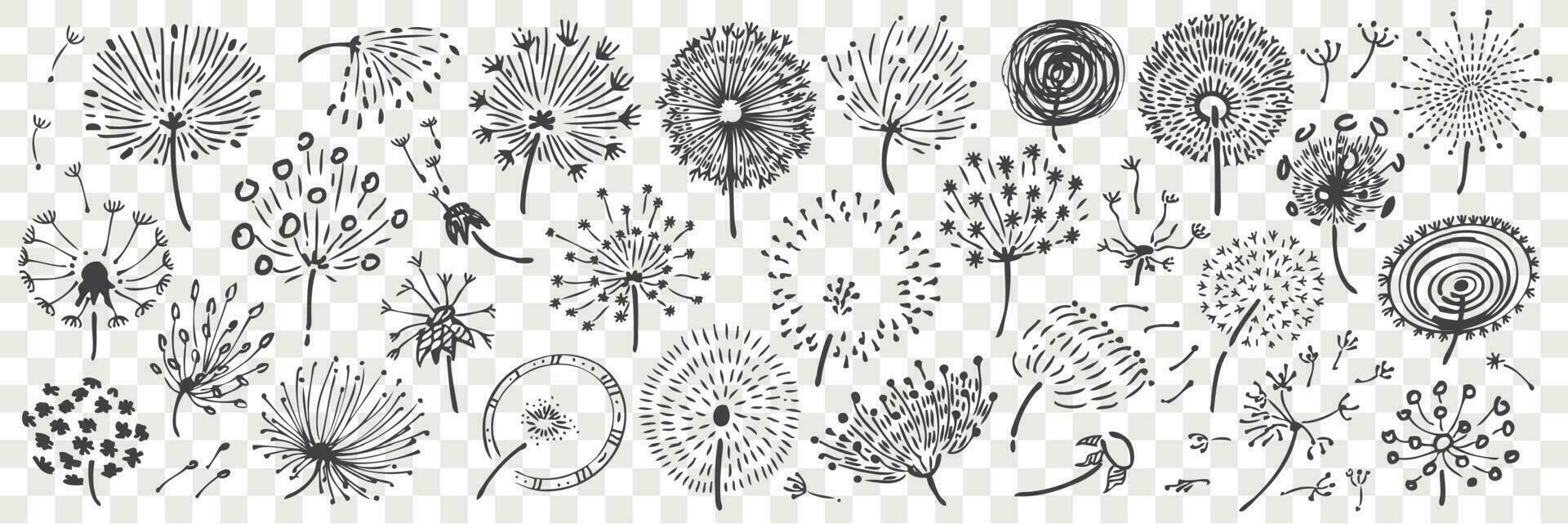 Hand drawn dandelion doodle set. vector