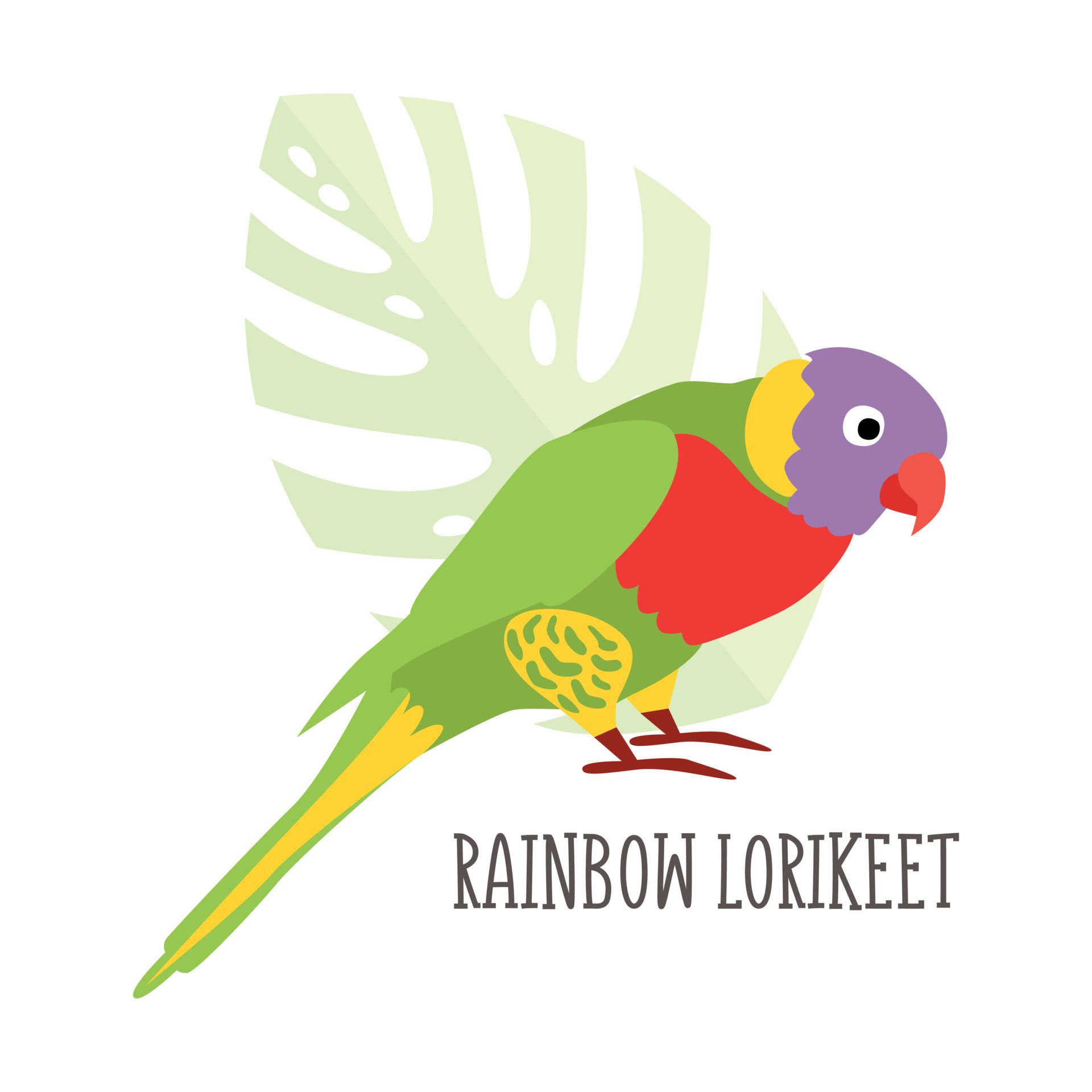 Vector Tropical Bird 23877599 Vector Art At Vecteezy Vector Tropical Bird 23877599 Vector Art At Vecteezy