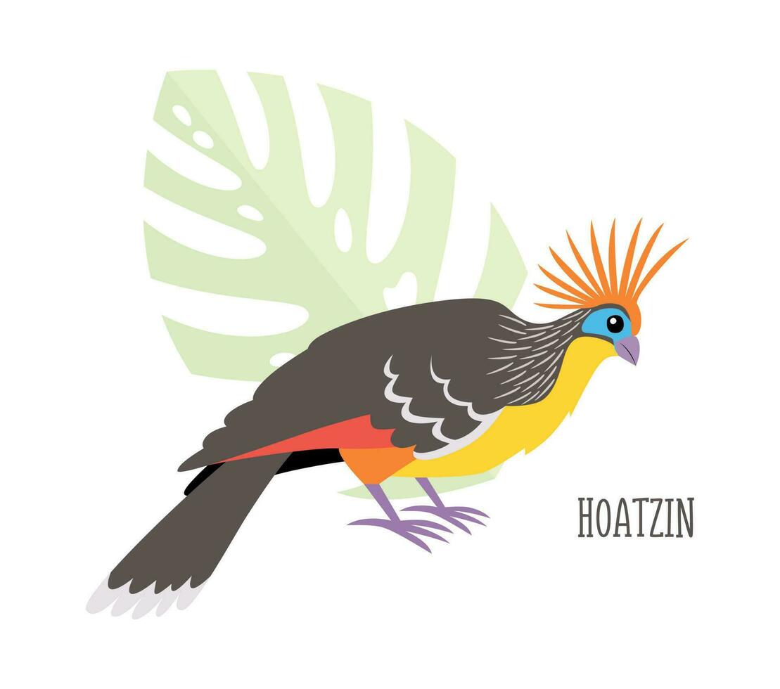 Vector tropical bird