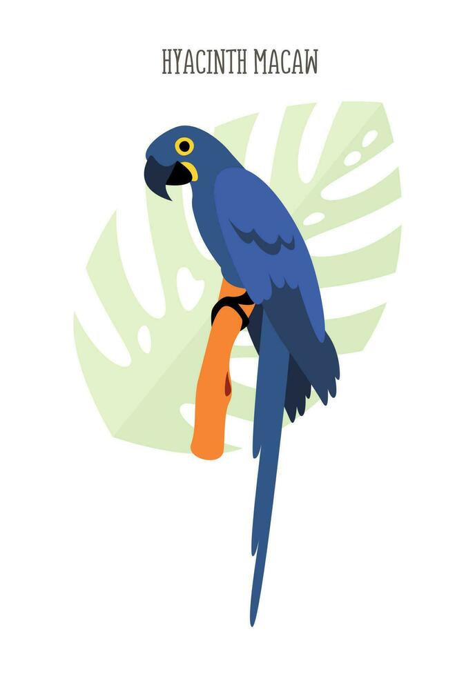 Vector tropical bird