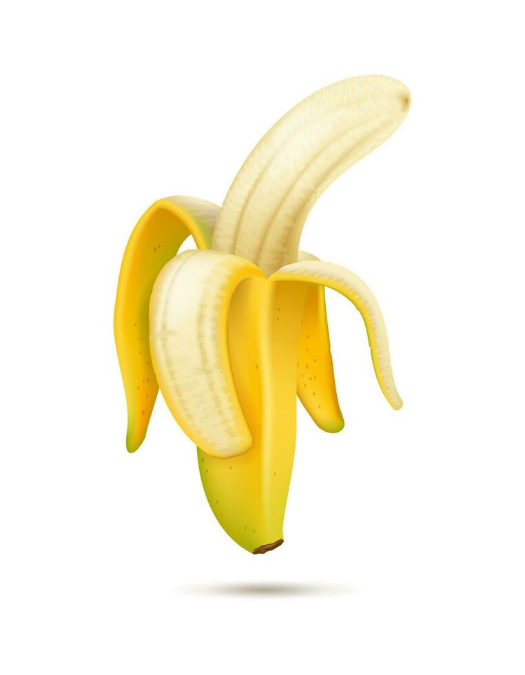 Half peeled banana. Vector isolated realistic illustration