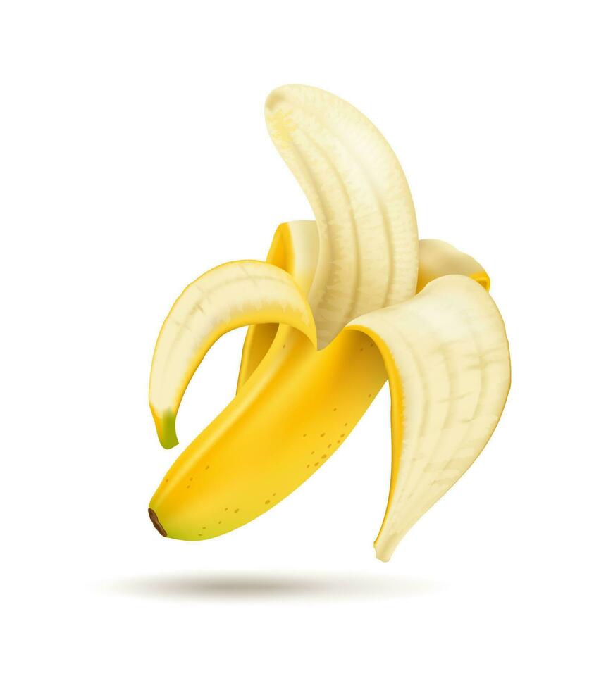 Half-peeled banana on a white background. Vector isolated realistic illustration