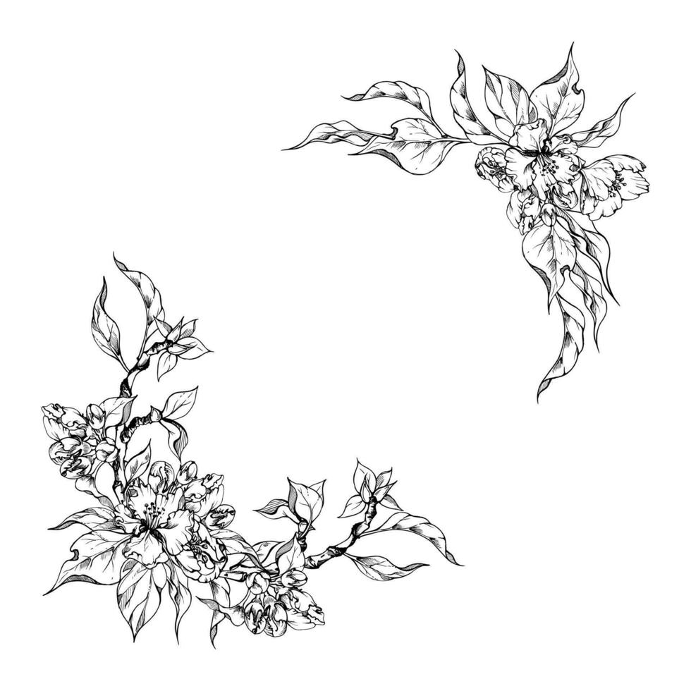 Hand drawn ink apple blossom, white and pink flowers with green leaves. Square frame composition. Isolated object on white background. Design for wall art, wedding, print, fabric, cover, card. vector