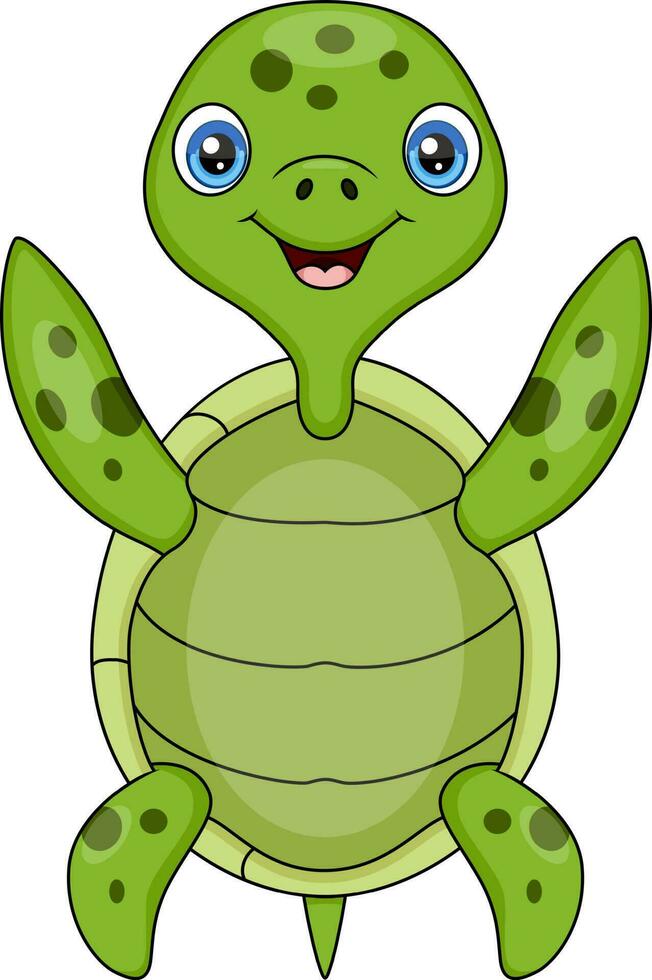 Cute baby turtle cartoon posing vector