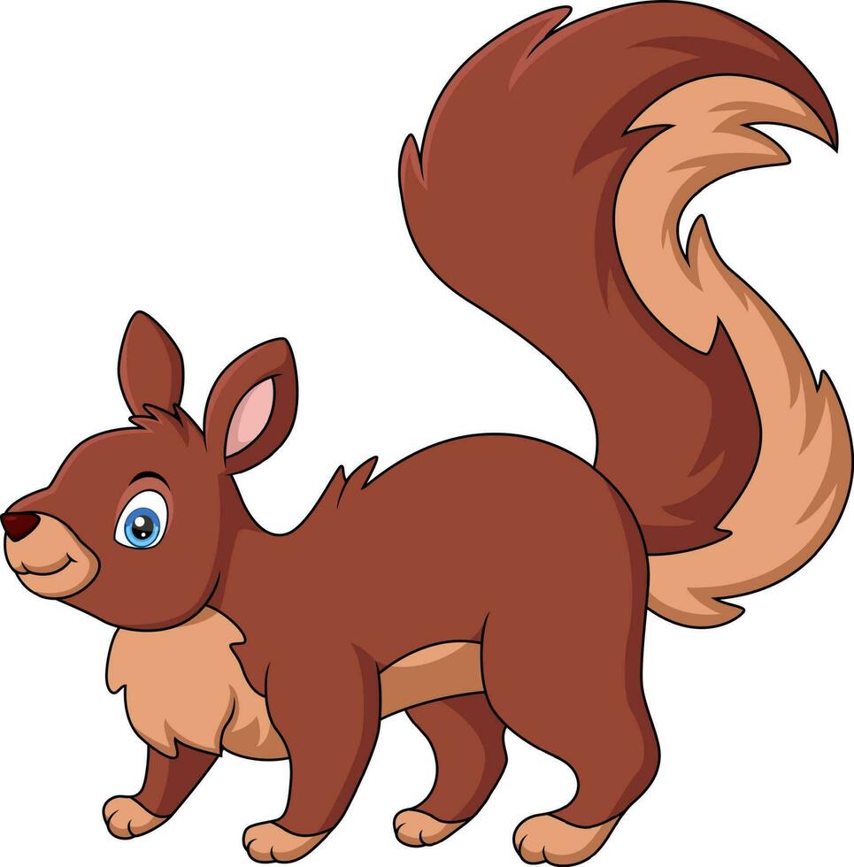 Cute squirrel cartoon on white background vector