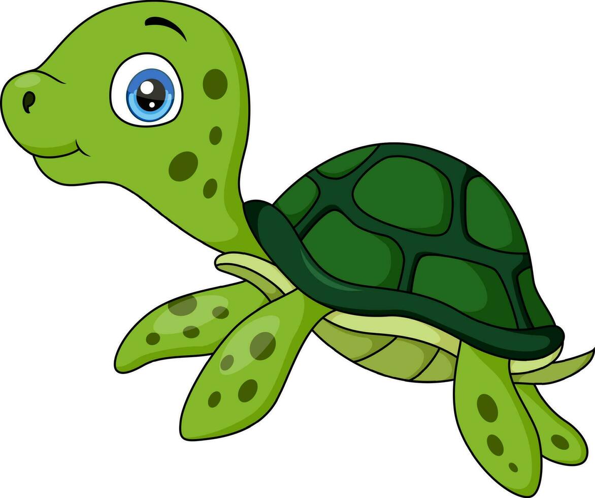 linda bebé Tortuga dibujos animados en blanco antecedentes vector