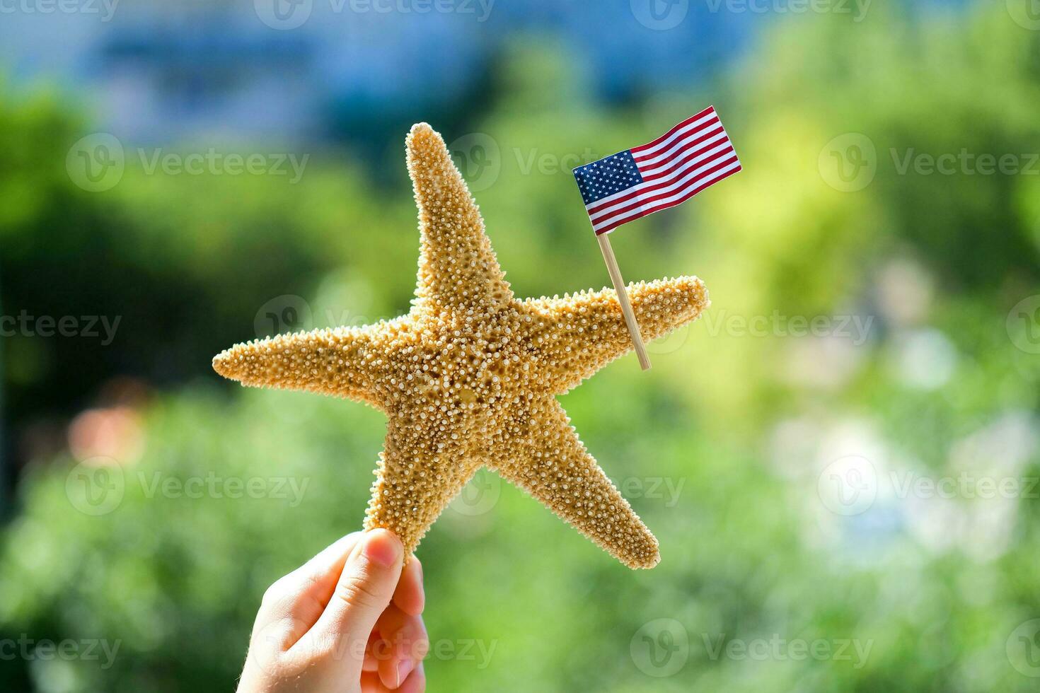 Starfish holds the American flag on a blurred green background. Labor day holiday concept. 4th of July USA Independence Day. Copy space for text. photo