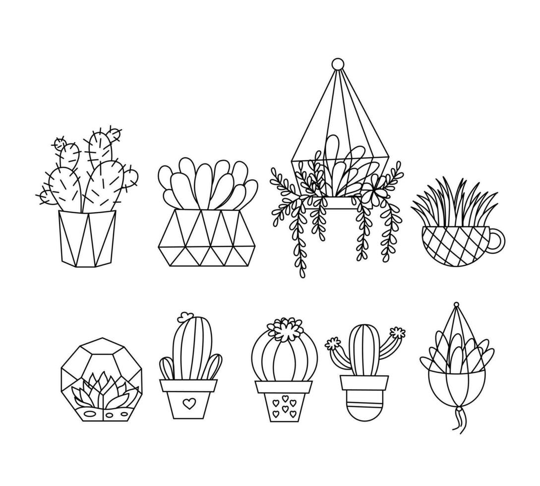 vector conjunto de acogedor linda cactus y suculentas inspiración citas. hogar jardinería. casa plantas. botánica decoración en contorno estilo.