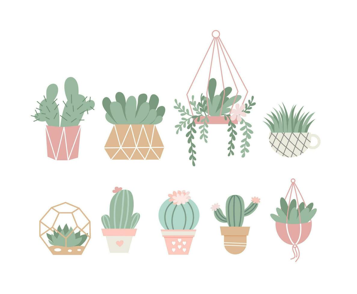 Vector set of cozy cute  cacti and succulents. Inspiration quotes. Home gardening. House plants. Botany decoration in cartoon flat style.