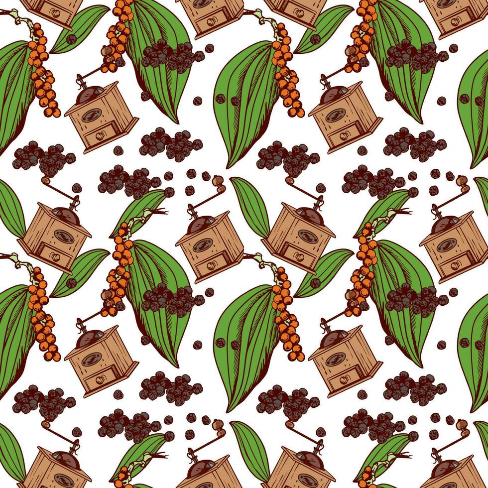 Black pepper seamless pattern. Vector illustration of a plant with leaves, dried black peas and pepper grinders. Botanical illustration of labels, packaging, culinary ingredients. Dried mature seeds.