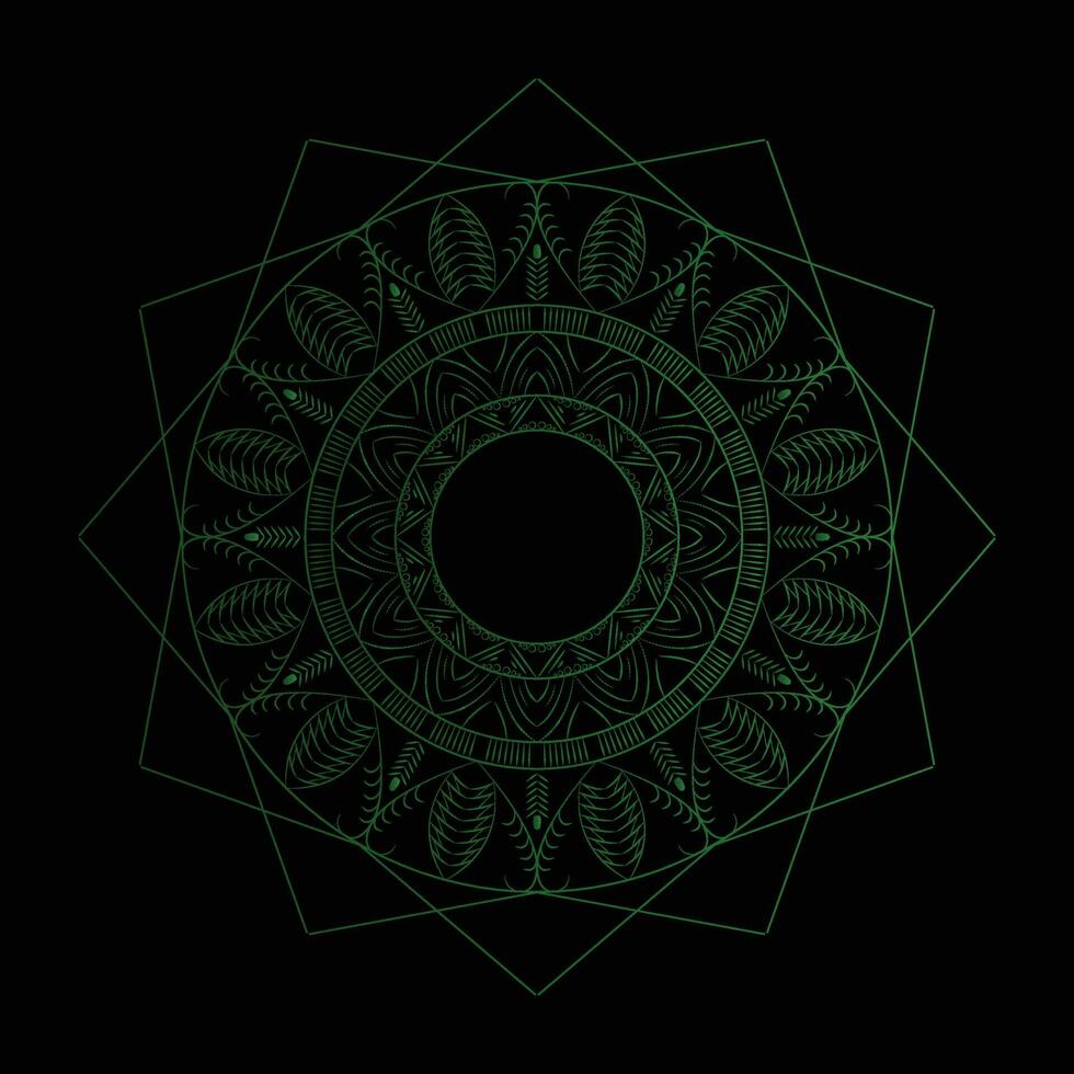 Beautiful floral mandala design vector