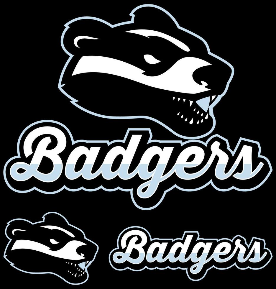 Badgers Team Mascot vector