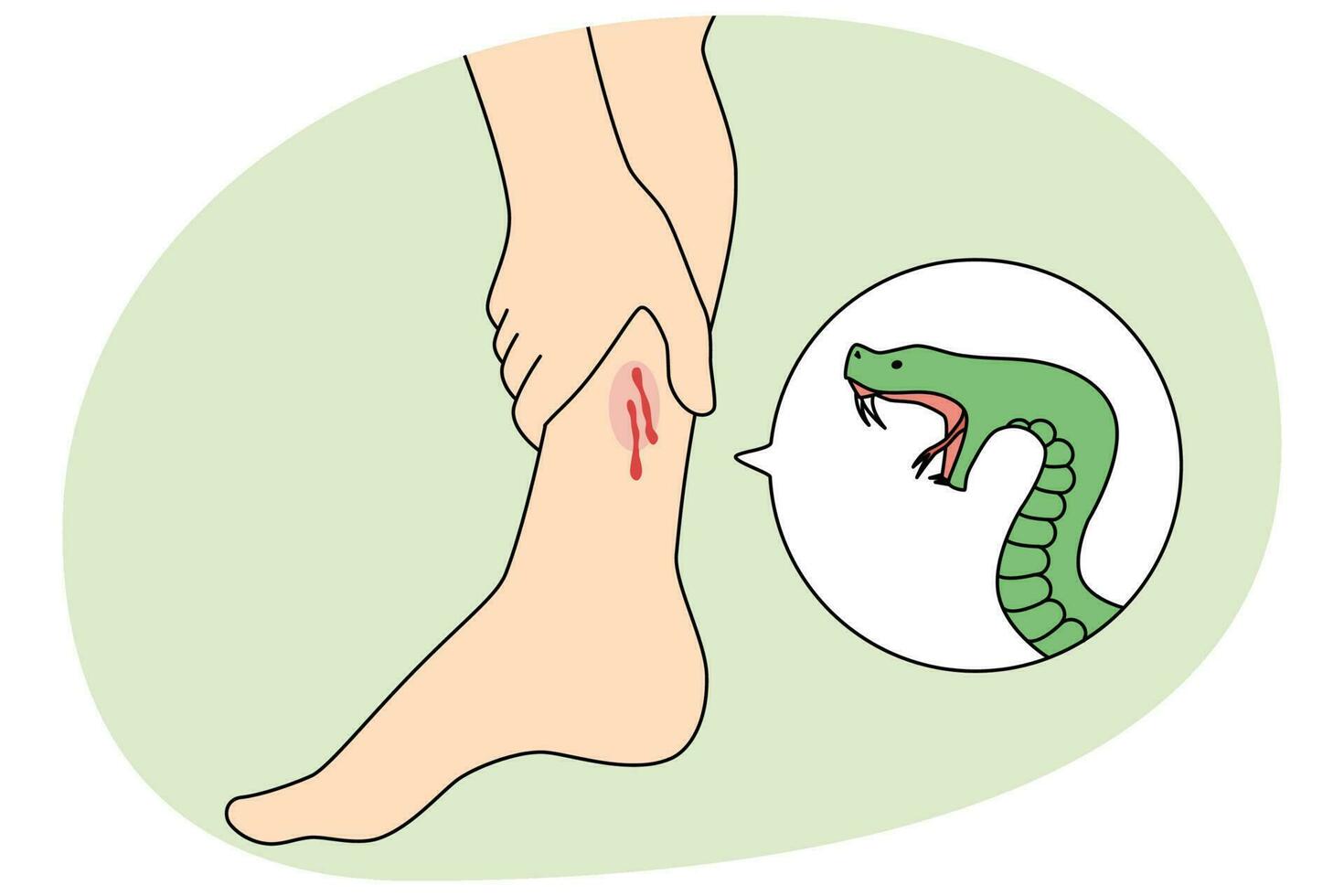 serpiente mordedura persona pierna vector