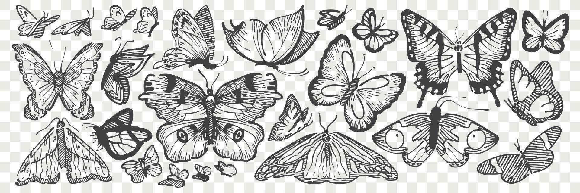 Hand drawn butterflies doodle set. vector