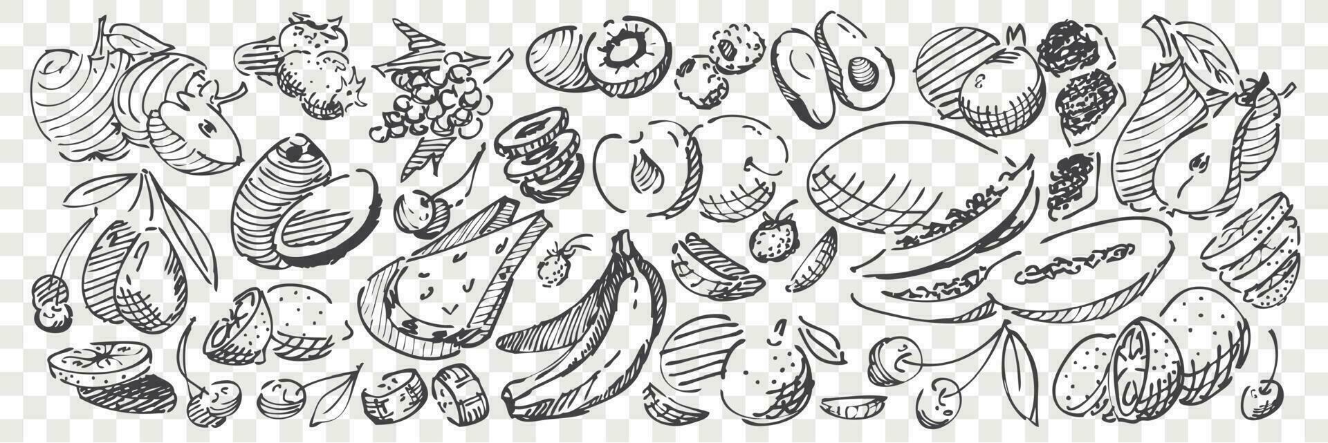 Hand drawn fruits doodle set vector