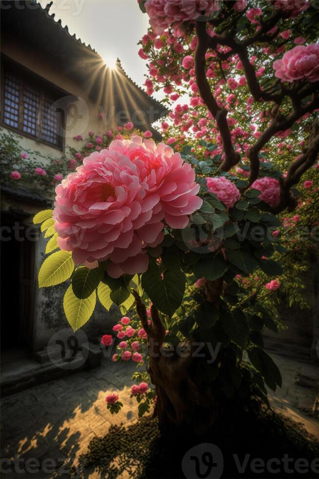 tree with pink flowers in front of a building. . photo