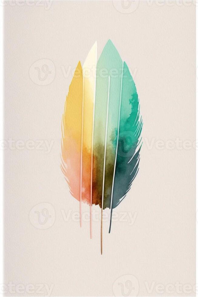 close up of a colorful feather on a white background. . photo