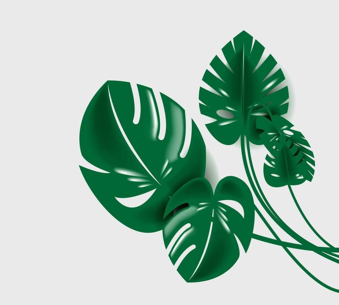 hojas monstera elemento verde antecedentes fondo de pantalla vector