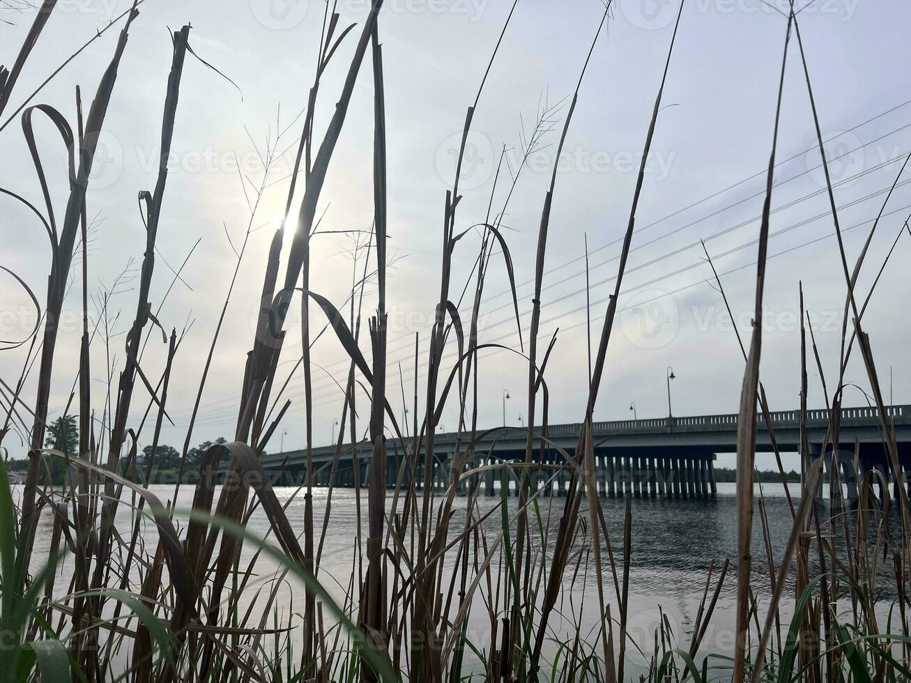 Jacksonville North Carolina photo