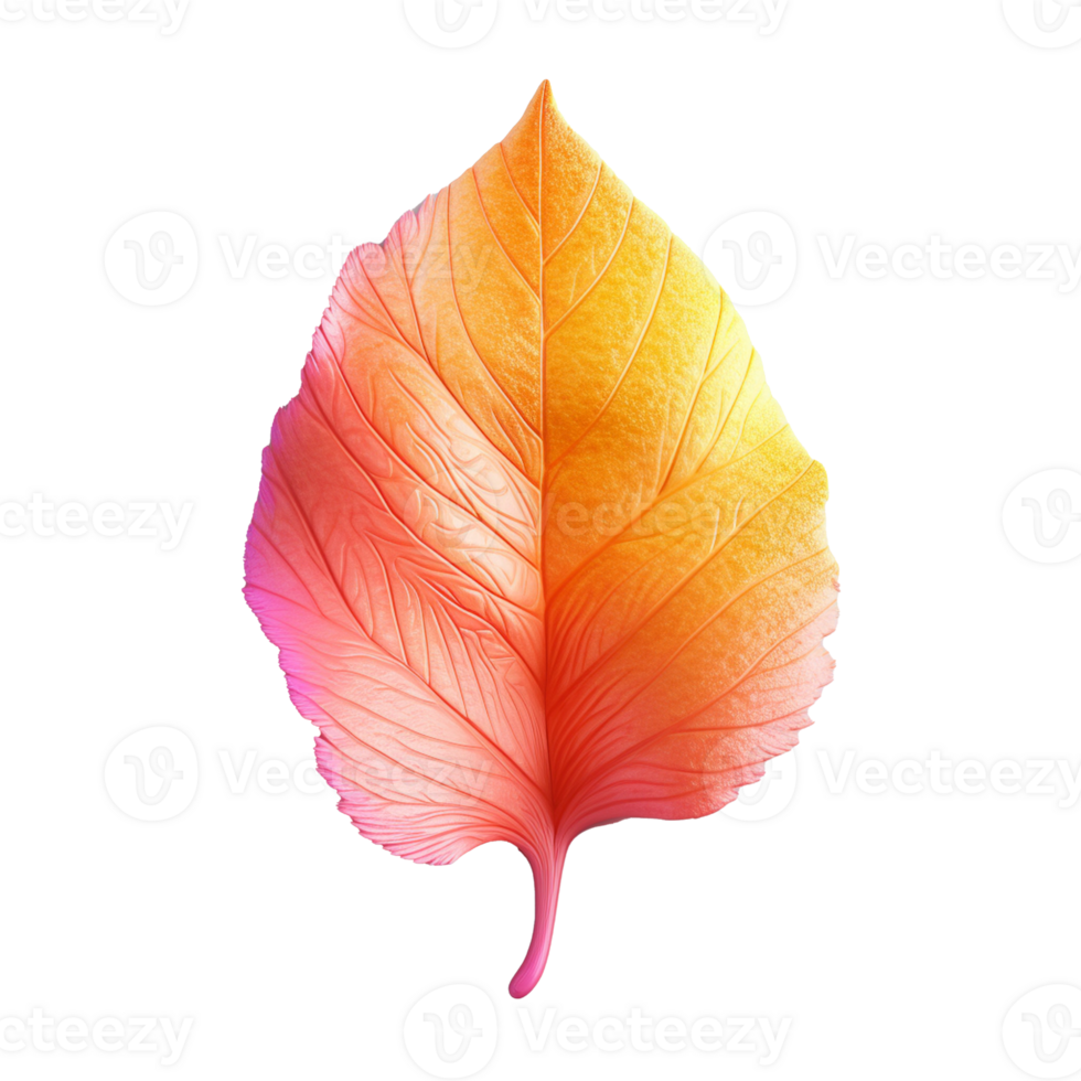 leaf in 3D style trending color palette with png