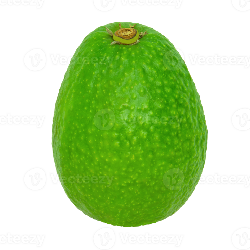 Green avocado isolated on a transparent background. Stock photo png