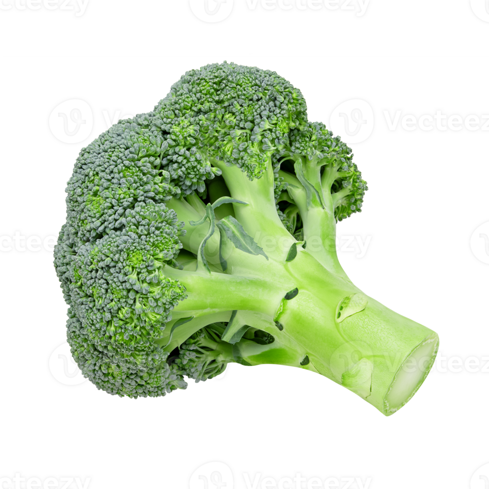 Fresh broccoli cabbage isolated on a transparent background. Stock photography png