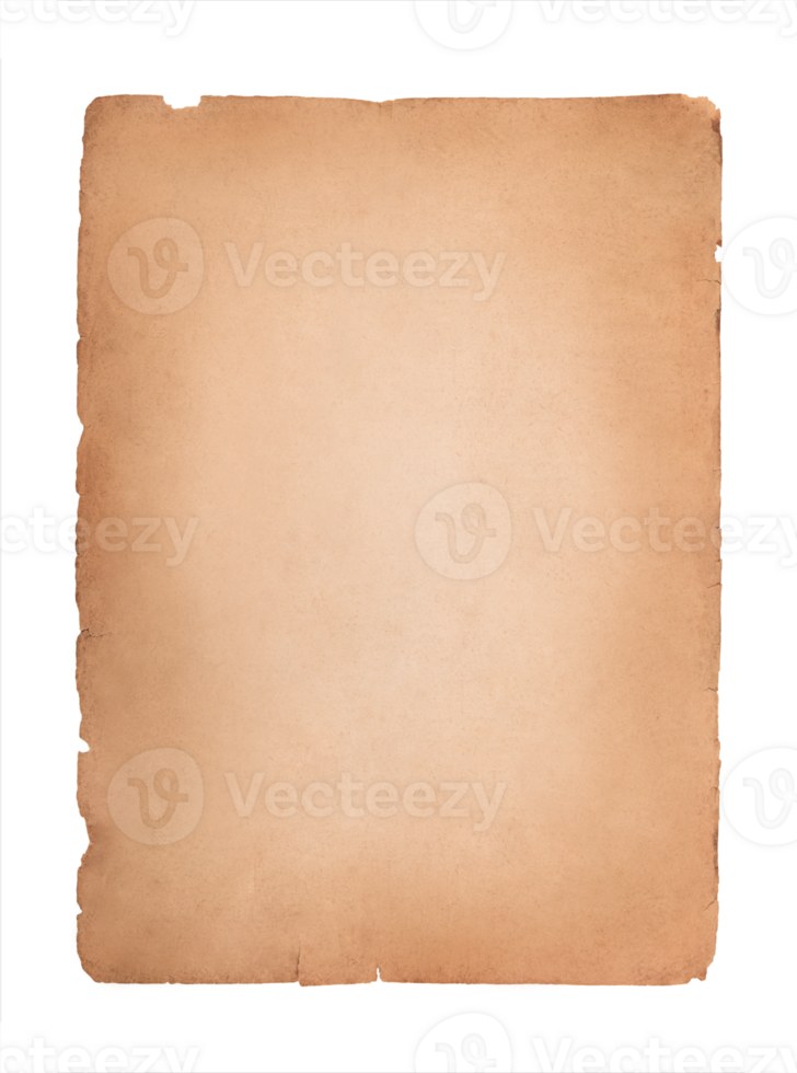 A vertical old sheet of paper isolated on transparent background. Stock photo png