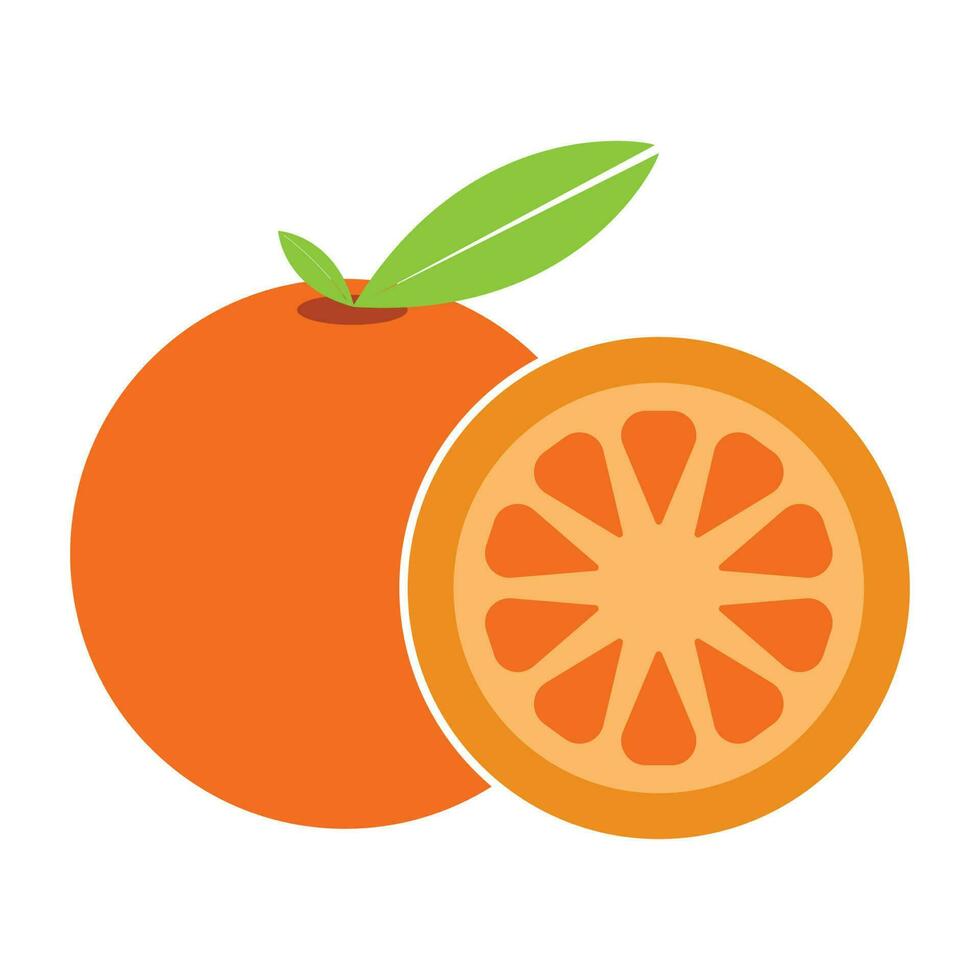 agrios Fruta icono vector