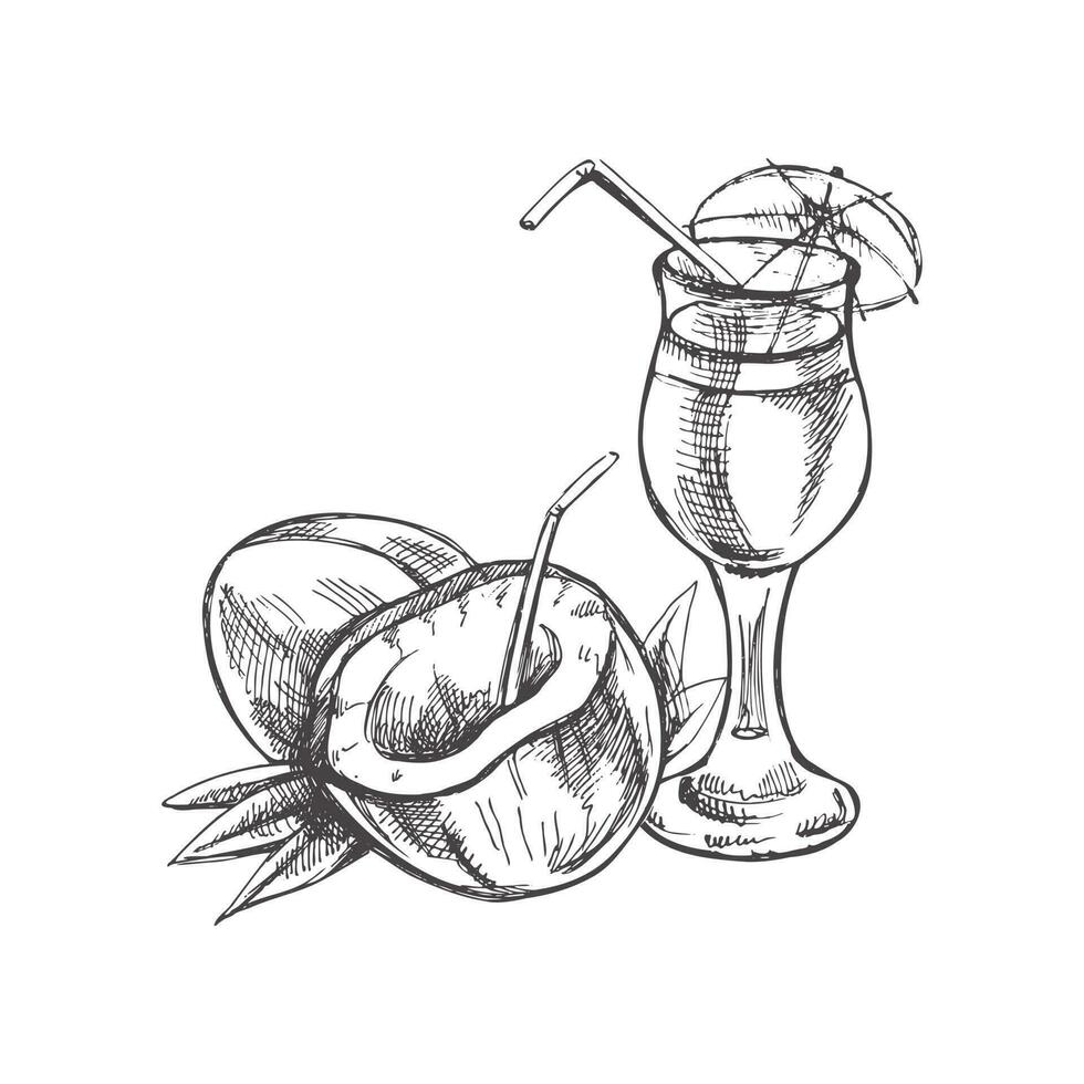 mano dibujado bosquejo de cóctel con Paja y paraguas, Coco con paja. Clásico vector ilustración de cóctel en vaso aislado en blanco antecedentes. garabatear dibujo.