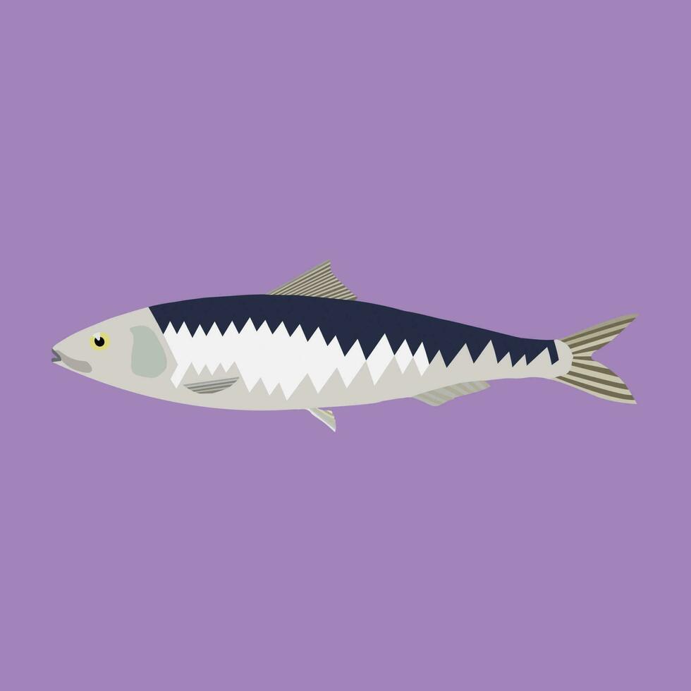 un hermosa sardina pescado vector Arte trabajar.