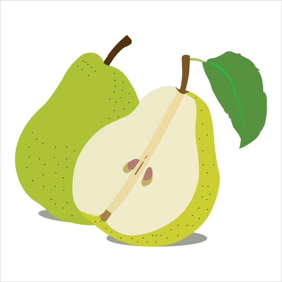 A pretty pear fruit vector art work.