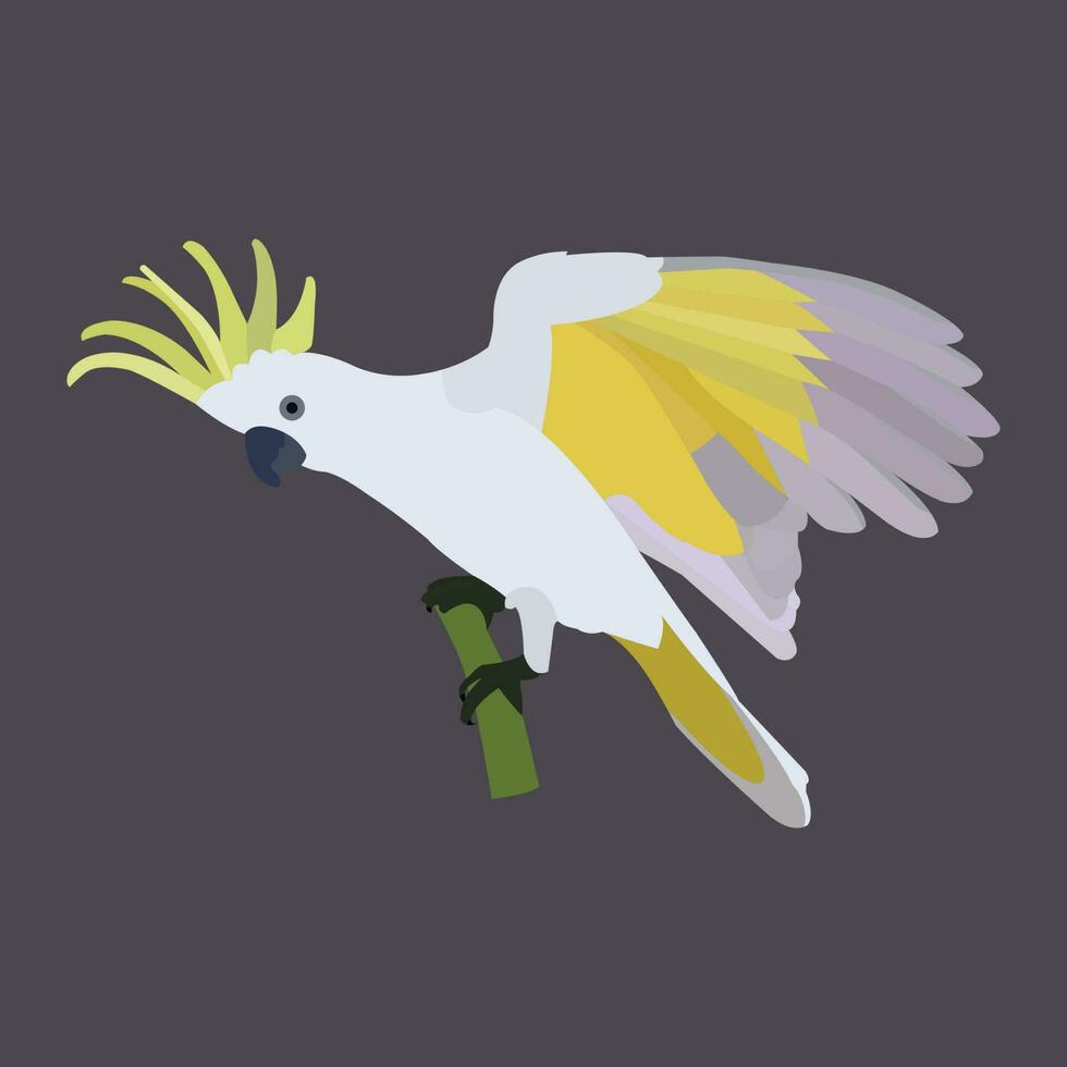 A beautiful white bird vector art work.