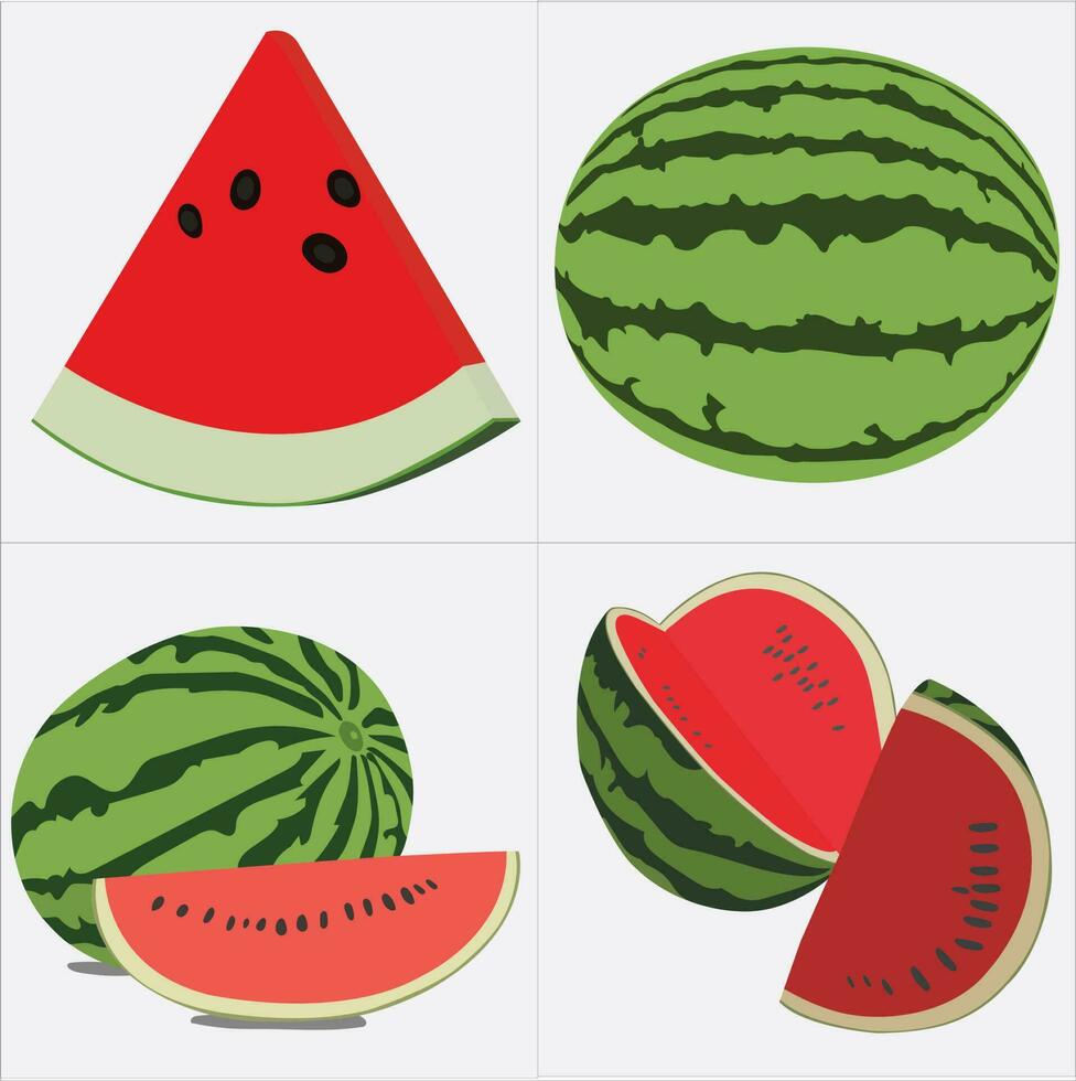 Watermelons are in a white frame. This is vector art work.