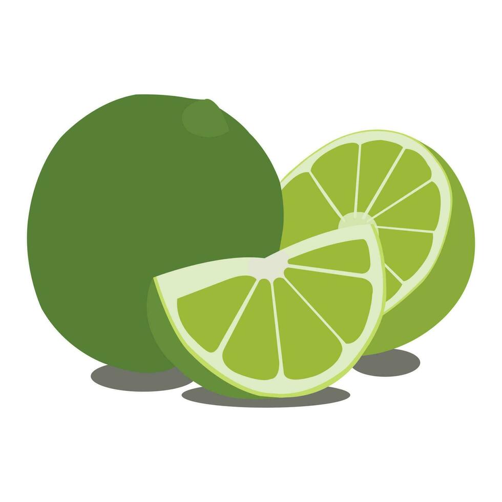 A pretty lemon fruit vector art work.