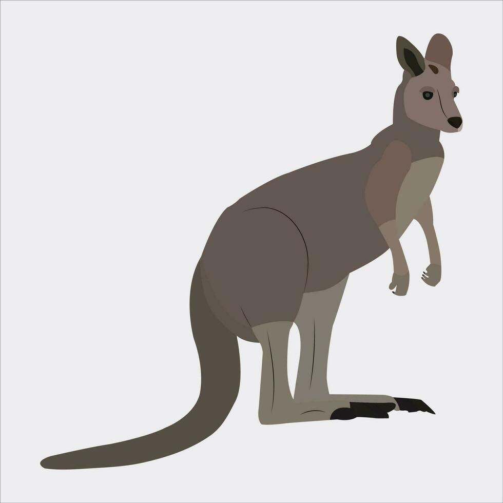 A beautiful kangaroo vector art work.