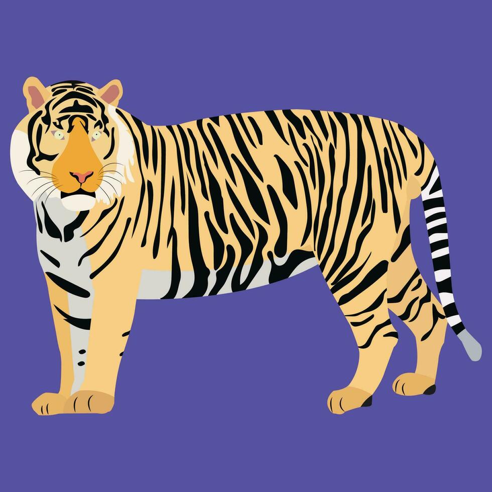 A beautiful tiger vector art work.